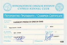 cyprus champion.jpg